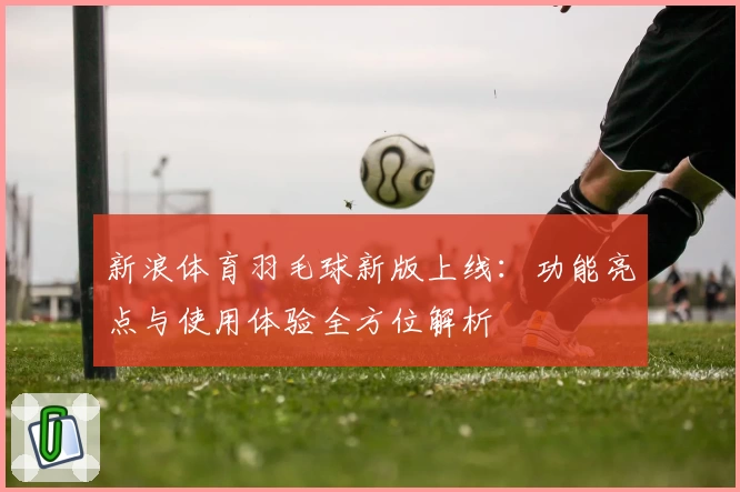 新浪体育羽毛球新版上线：功能亮点与使用体验全方位解析