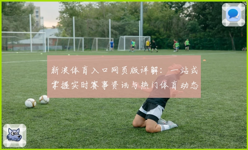 新浪体育入口网页版详解：一站式掌握实时赛事资讯与热门体育动态