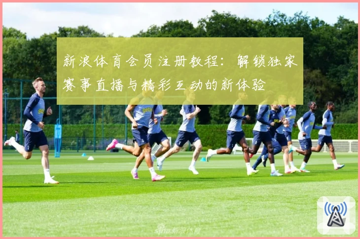 新浪体育会员注册教程：解锁独家赛事直播与精彩互动的新体验