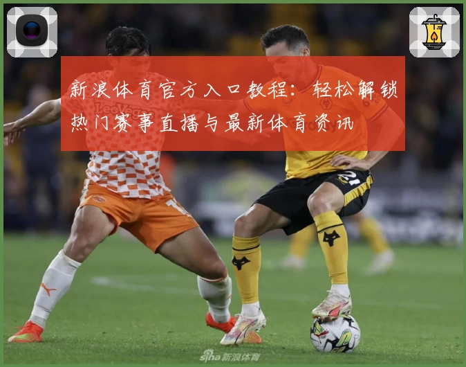 新浪体育官方入口教程：轻松解锁热门赛事直播与最新体育资讯