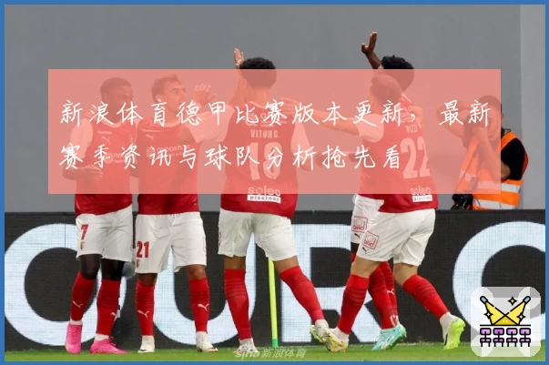 新浪体育德甲比赛版本更新，最新赛季资讯与球队分析抢先看
