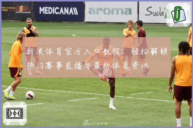 新浪体育官方入口教程：轻松解锁热门赛事直播与最新体育资讯