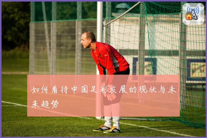 如何看待中国足彩发展的现状与未来趋势