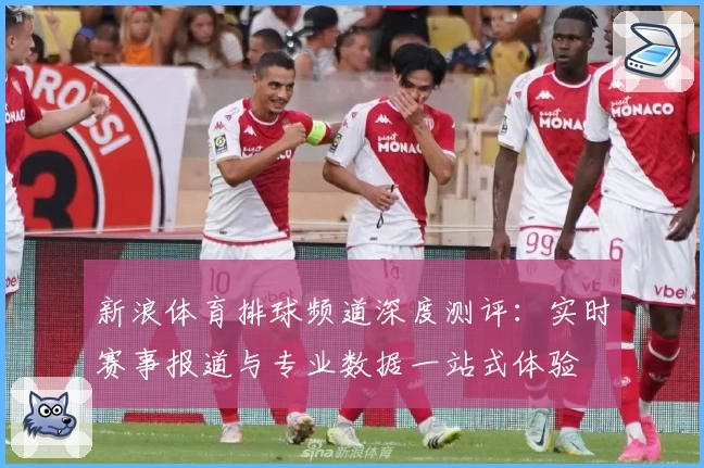 新浪体育排球频道深度测评：实时赛事报道与专业数据一站式体验