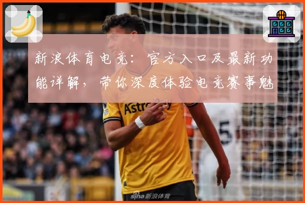 新浪体育电竞：官方入口及最新功能详解，带你深度体验电竞赛事魅力